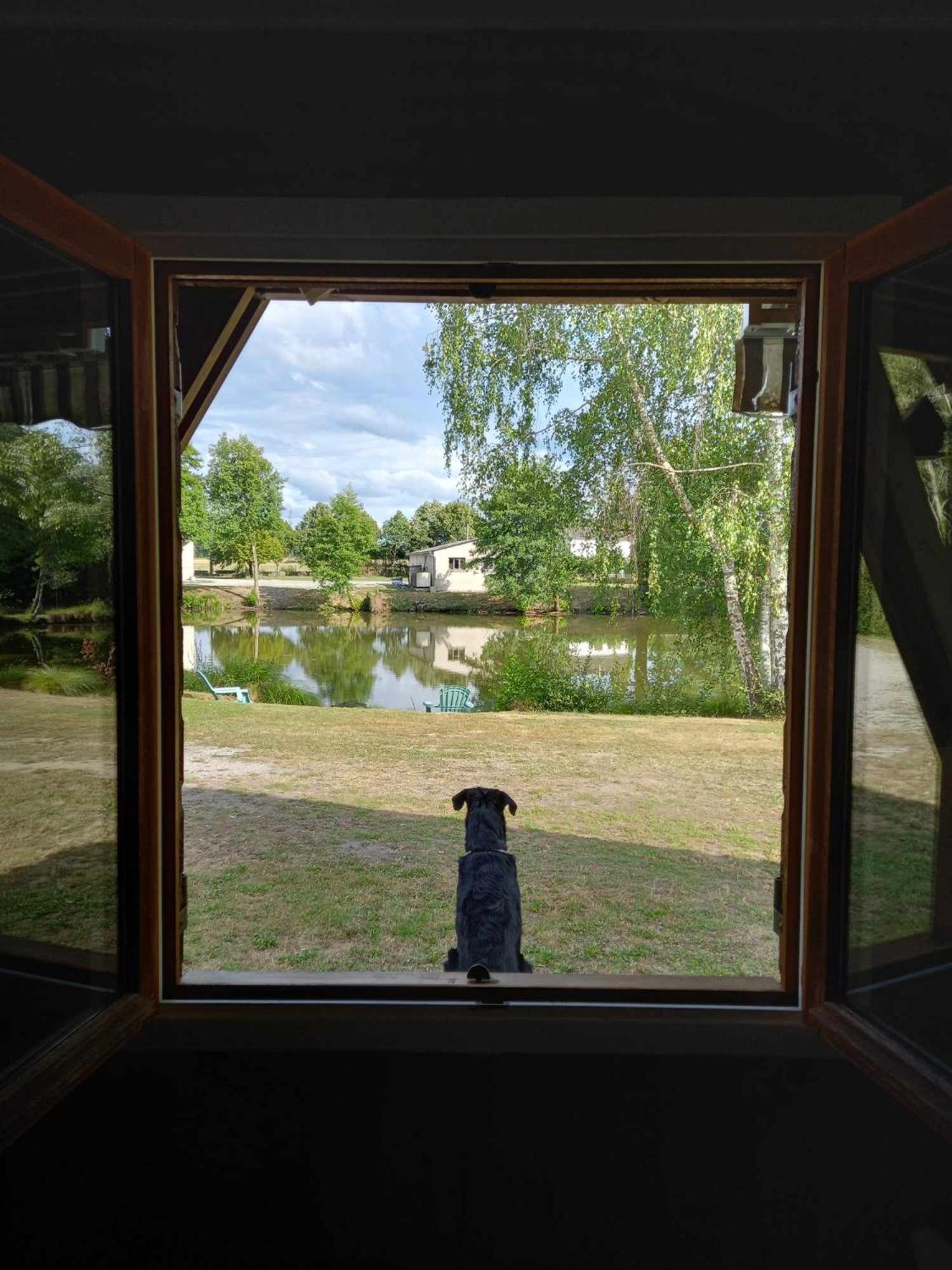 Le Chalet Limousin Folles エクステリア 写真
