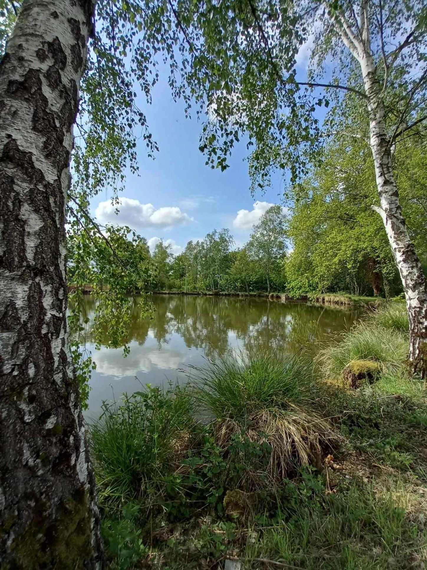 Le Chalet Limousin Folles エクステリア 写真