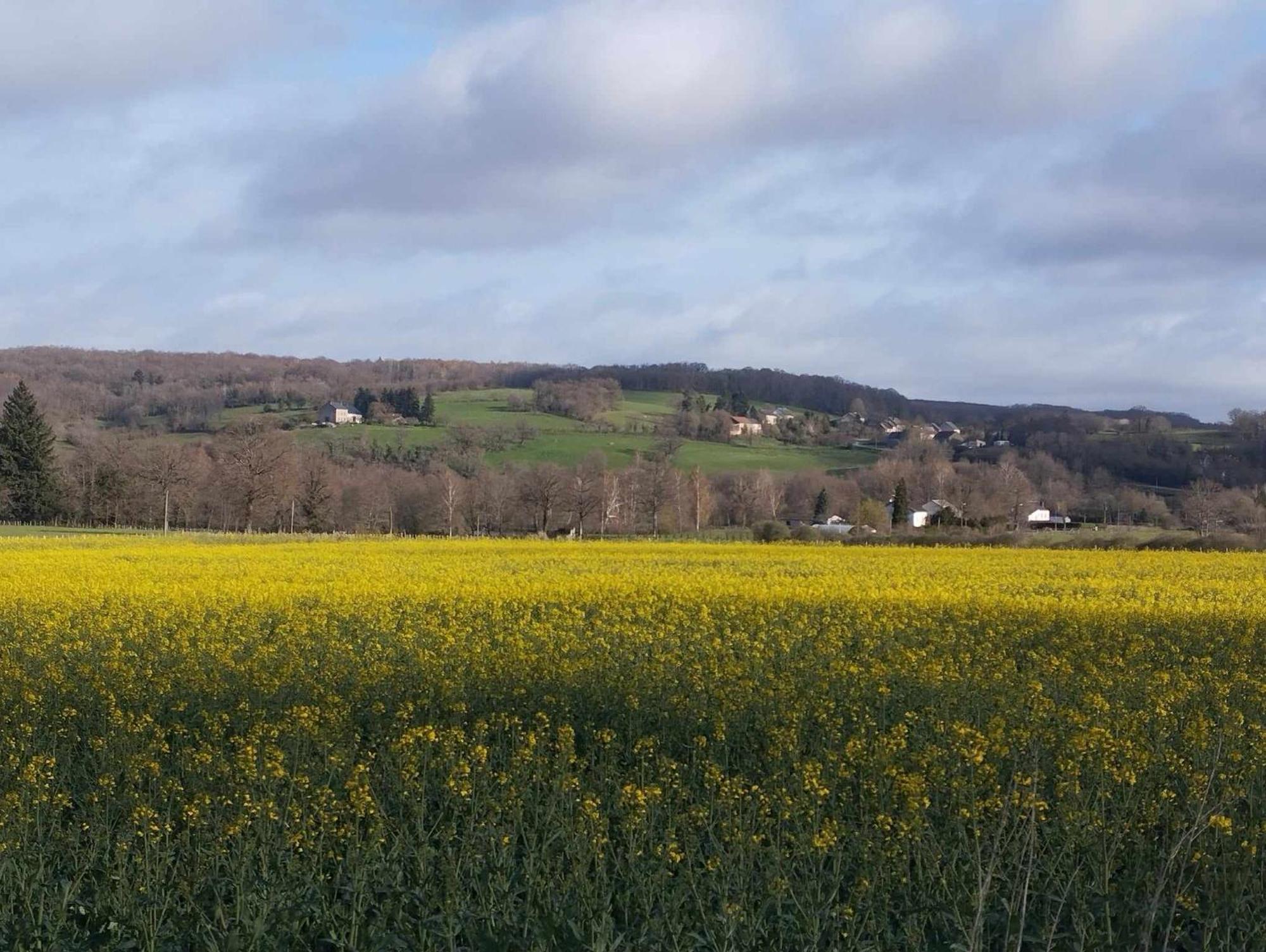 Le Chalet Limousin Folles エクステリア 写真